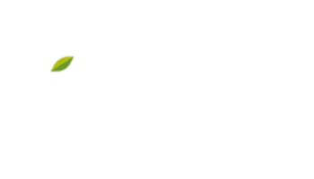 logo Agora